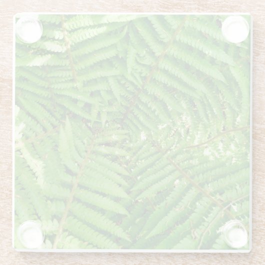 Woodland Ferns Glasuntersetzer (Rückseite)