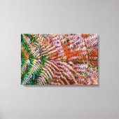 Woodland Ferns Leinwanddruck (Vorderseite)