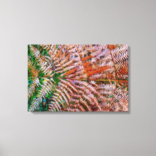 Woodland Ferns Leinwanddruck (Vorderseite)