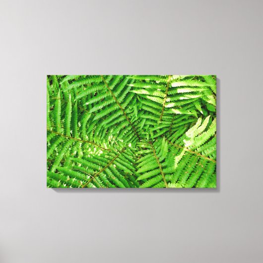 Woodland Ferns Leinwanddruck (Vorderseite)