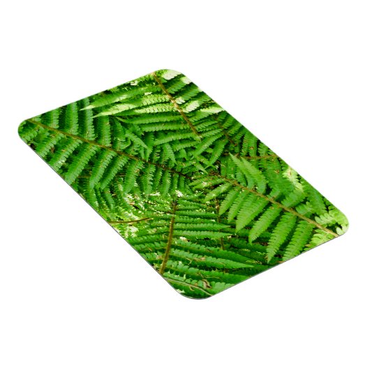 Woodland Ferns Magnet (Rechte Seite)