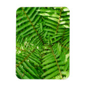 Woodland Ferns Magnet (Vertikal)