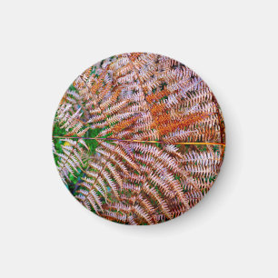 Woodland Ferns Magnet