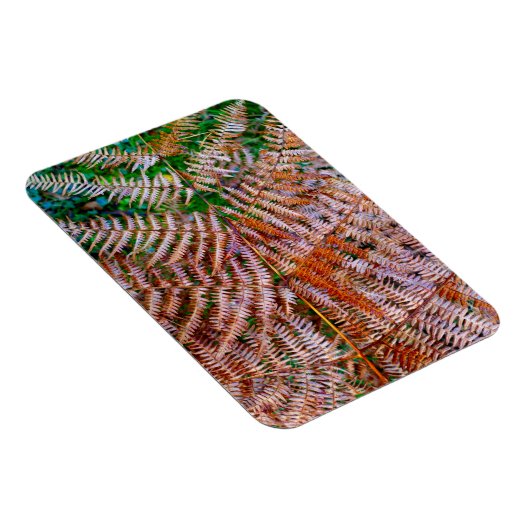 Woodland Ferns Magnet (Rechte Seite)
