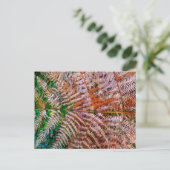 Woodland Ferns Postkarte (Stehend Vorderseite)