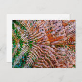 Woodland Ferns Postkarte (Vorne/Hinten)