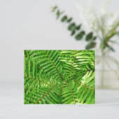 Woodland Ferns Postkarte (Stehend Vorderseite)