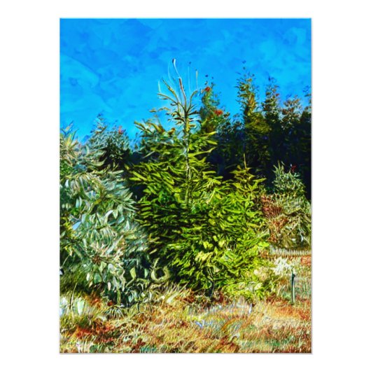 WOODLAND FOTODRUCK (Vorne)