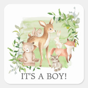 Woodland Friends It's a Boy Gevor Sticker