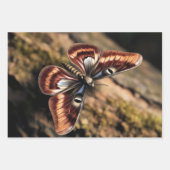 Woodland Moth Geschenkpapier Set (Vorderseite)