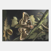 Woodland Moth Illustration Geschenkpapier Set (Vorderseite 2)