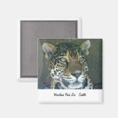 Woodland Park Zoo Cat Magnet (Vorderseite/Rückseite)