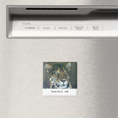 Woodland Park Zoo Cat Magnet (In Situ (Geschirrspüler))