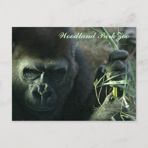 Woodland Park Zoo Postkarte