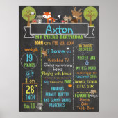 Woodland Party Geburtstagsschild Poster (Vorne)