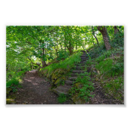 Woodland Path in Allan Park Sowerby Bridge Fotodruck