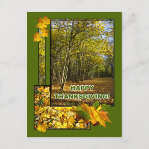 WOODLAND ~ Postcard Postkarte