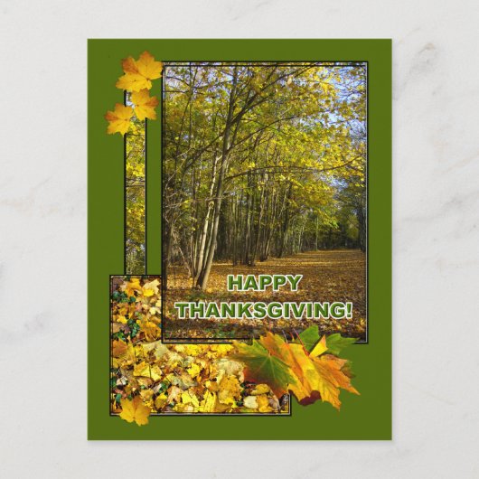 WOODLAND ~ Postcard Postkarte (Vorderseite)