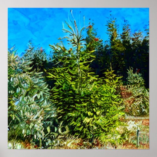 WOODLAND POSTER (Vorne)