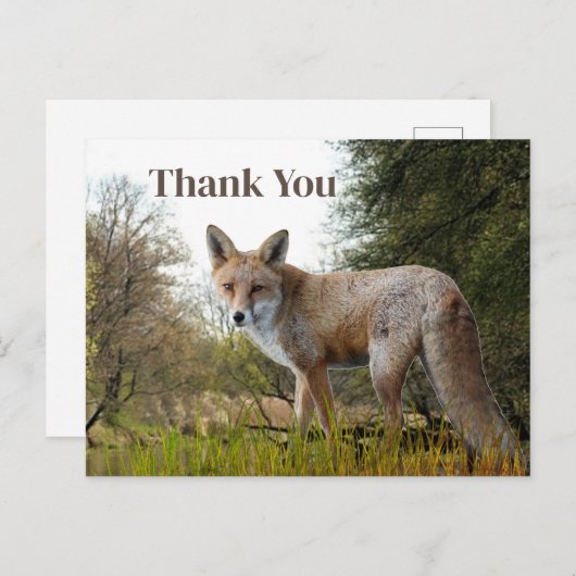 Woodland Red Fox Danke, Postcard Postkarte (Vorne/Hinten)