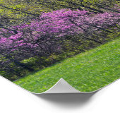 Woodland Redbud Trees Shawnee Mission Parks Kansas Poster (Ecke)