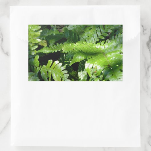 Woodland Spring Green Ferns Rechteckiger Aufkleber (Tasche)