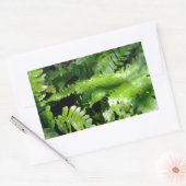 Woodland Spring Green Ferns Rechteckiger Aufkleber (Umschlag)