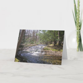 ‚Woodland Stream II‘ Dankeskarte
