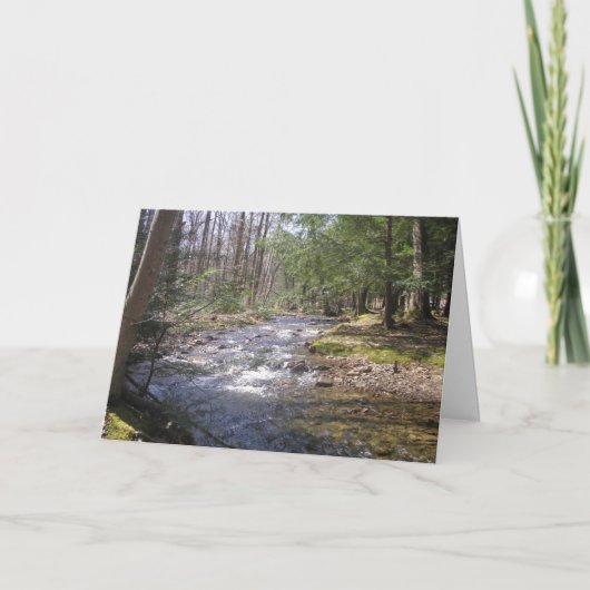 ‚Woodland Stream II‘ Dankeskarte (Vorderseite)