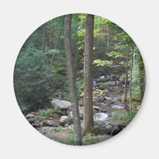 Woodland Stream Magnet (Vorne)