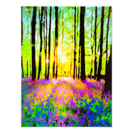 WOODLAND STREAMING SUNLIGHT FOTODRUCK