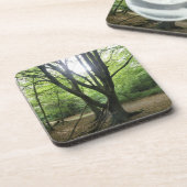 Woodland Sunshine Cork Untersetzer (Linke Seite)