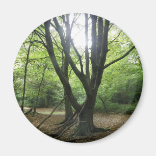 Woodland Sunshine Magnet