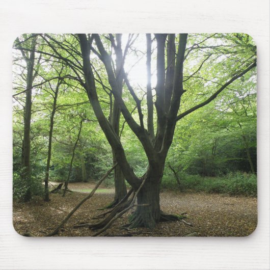 Woodland Sunshine Mousepad (Vorne)