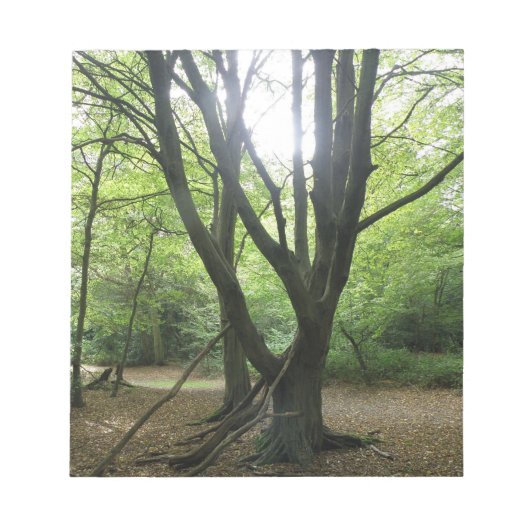 Woodland Sunshine Notepad Notizblock (Vorderseite)