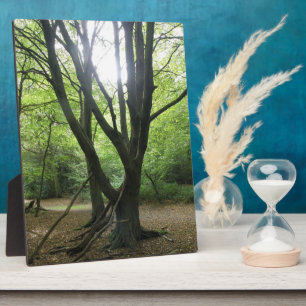Woodland Sunshine Plaque Fotoplatte