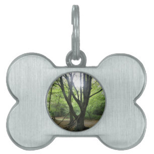 Woodland Sunshine Tag Tiermarke