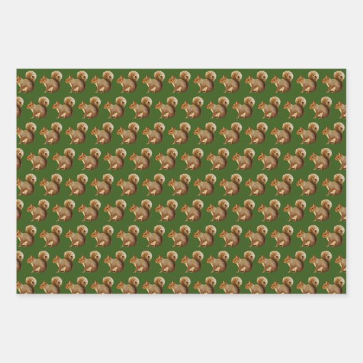 Woodland Vibes Squirrel Geschenkpapier Set (Vorderseite)