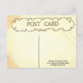 Woodland Winter Ansammlung Postkarte (Rückseite)