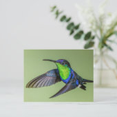 Woodnymph Hummingbird Postcard Postkarte (Stehend Vorderseite)