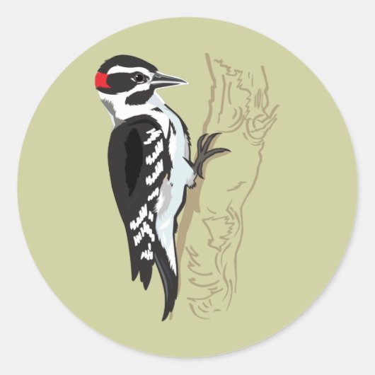 Woodpecker-Abbildung Runder Aufkleber (Vorderseite)