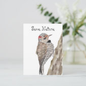 Woodpecker Aquarellkopf Postkarte (Stehend Vorderseite)