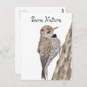 Woodpecker Aquarellkopf Postkarte (Vorne/Hinten)