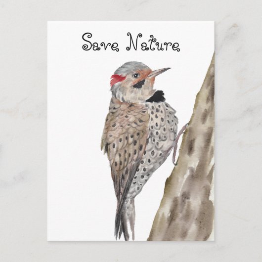 Woodpecker Aquarellkopf Postkarte (Vorderseite)