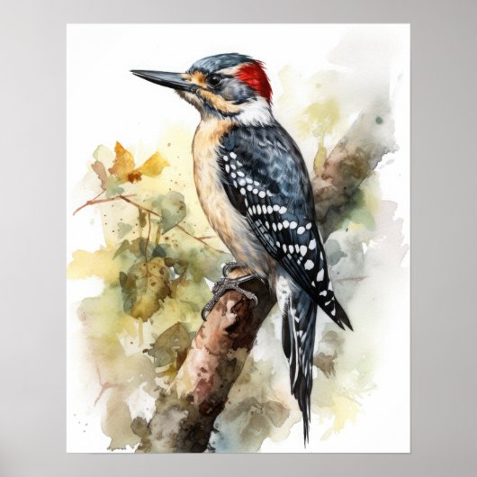 Woodpecker Bird Art Print Poster (Vorne)