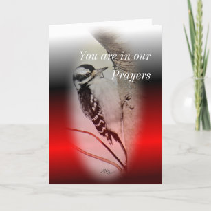 Woodpecker-Female Downy - passen Sie jede Gelegenh Karte