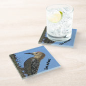 Woodpecker Foto Familienname Südwestwüste Bird Glasuntersetzer (Schrägansicht)