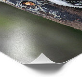 Woodpecker Foto Print (Ecke)