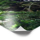 Woodpecker Foto Print (Ecke)