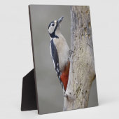 Woodpecker Fotoplatte (Seite)